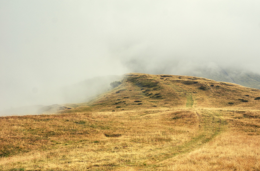 Serene Highland Pasture on a Cloudy Day