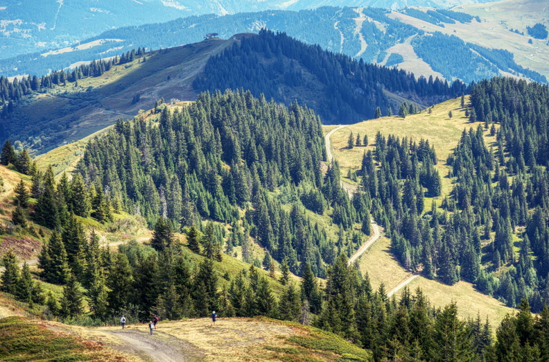 Tranquil Alpine Scene: Hikers on a Path Through Lush Forest and Majestic Mountains