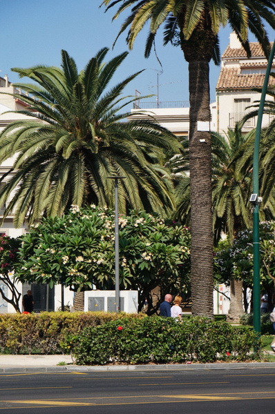 A Vibrant Street Scene in Malaga, Spain