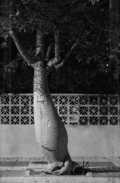 DSC01354