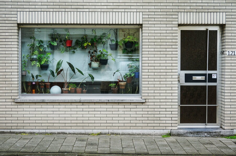 DSC07129