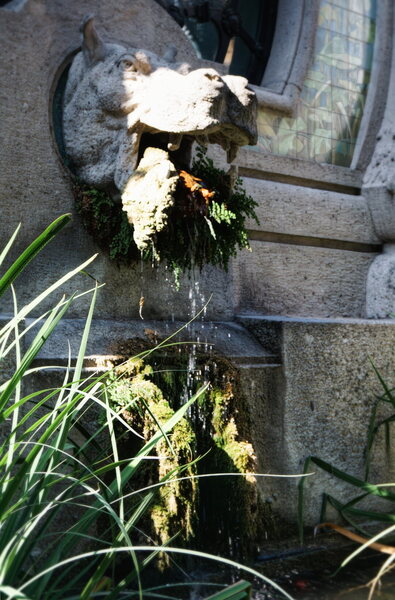 DSC01911