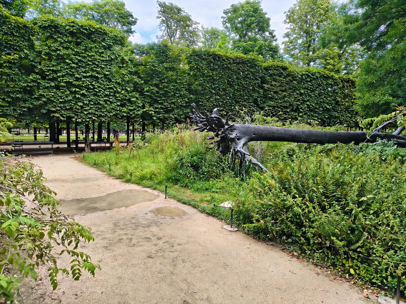 IMG 20250707 192717641 HDR