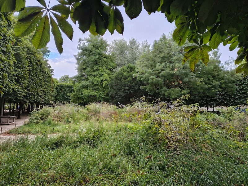 IMG 20250707 192636548 HDR