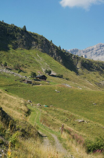 DSC06770