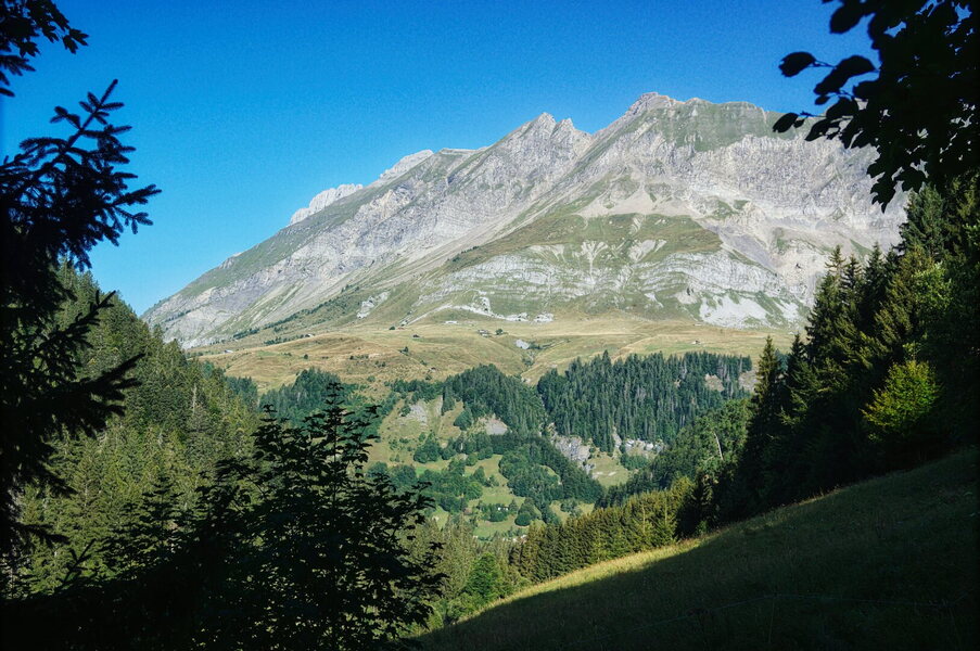 DSC06780