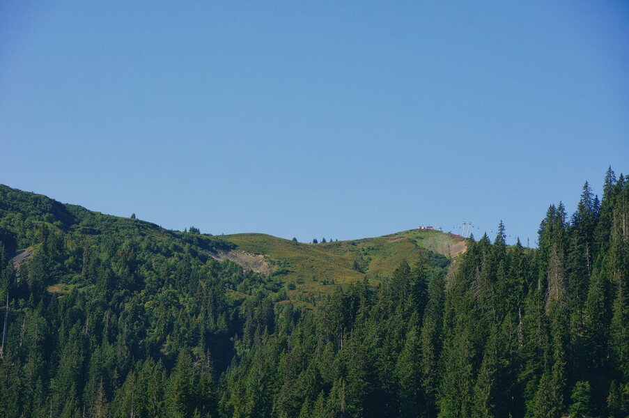 DSC06781