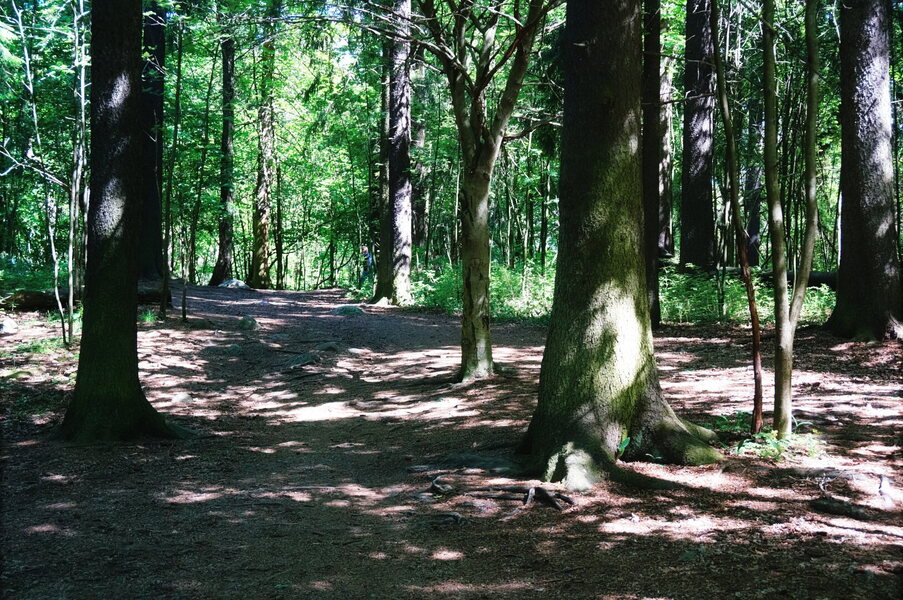 DSC03426