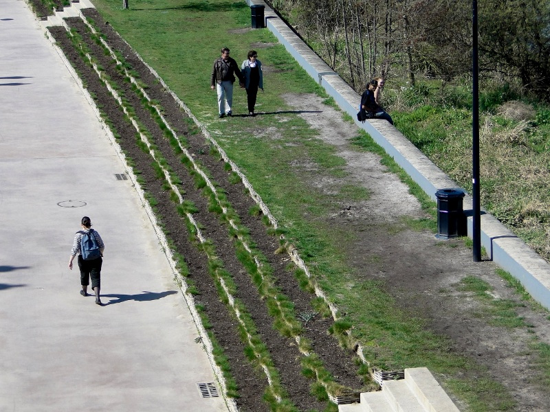 Urban Garden Pathway in Bordeaux, France