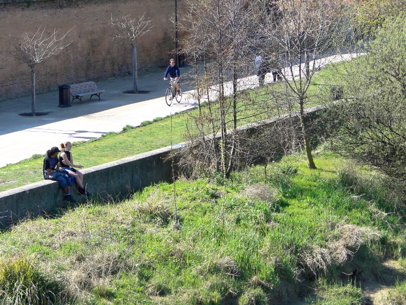 Relaxing in the Park