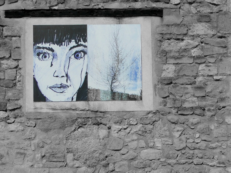 Urban Portraiture: A Window Gallery