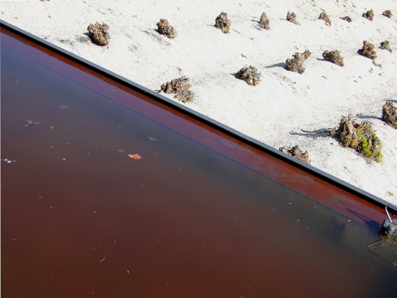 Muddy Puddle and Dirty Water Drainage