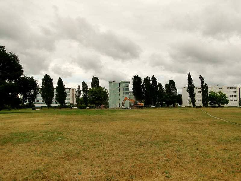 Serene Park Scene with a Backdrop of Buildings