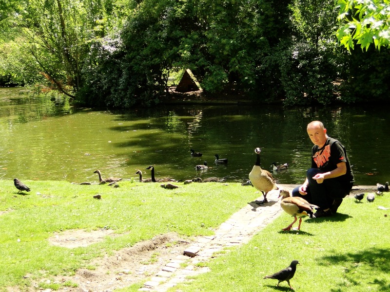 A Man and his Feathered Friends in the Park
