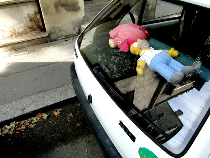 A Car with a Stuffed Animal as the Surprise Inside