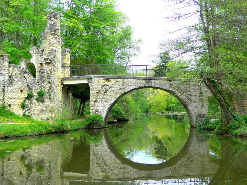 Ruins of a Bridge with Overhanging Trees and Reflection in Water