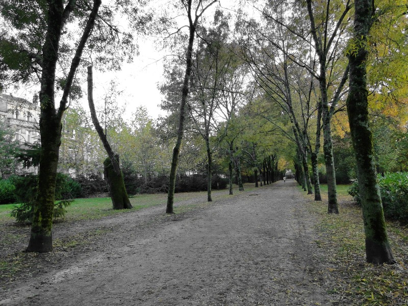 Autumnal Walk in a French Park