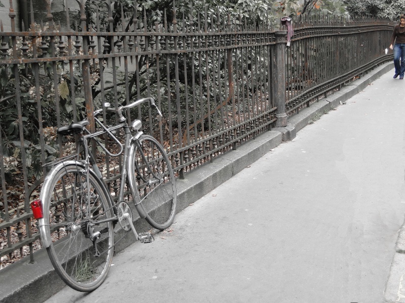 Urban Tranquility